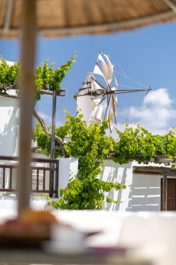 Anemomilos Beach Hotel Agia Anna  Ngoại thất bức ảnh